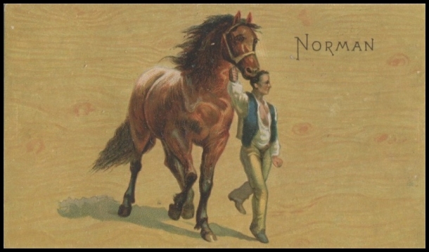 N101 Norman.jpg